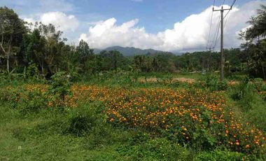 a New Daily Villa for Rent 
close to Sidemen