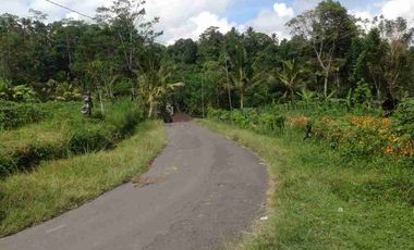 a New Daily Villa for Rent 
close to Sidemen