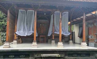 a New Daily Villa for Rent 
close to Sidemen