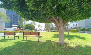 Departamento  sin amueblar en Juriquilla Santa Fe