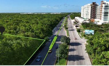 CENTRICO TERRENO EN PLAYA DEL CARMEN COMERCIAL O HABITACIONAL