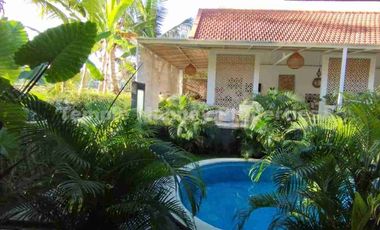 Villa in Ubud with The Best View