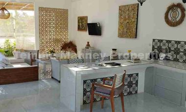 Villa in Ubud with The Best View