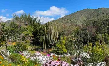 OPORTUNIDAD!! SE ARRIENDA PARCELA CON CASA AMOBLADA + PISCINA EN OLMUÉ