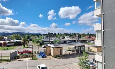 Depto en Parque Olimpia, 1 dormitorio