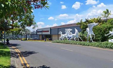 🌿 Tanah Kavling Premium Citraland The Greenlake – Selatan, Jalan Kembar