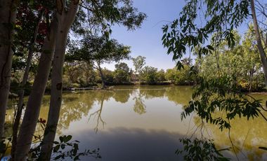 7 bed Lakeside Pool Villa 11 rai Nong Khon Ubon