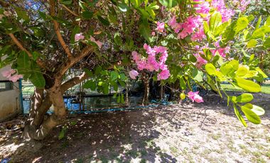 7 bed Lakeside Pool Villa 11 rai Nong Khon Ubon