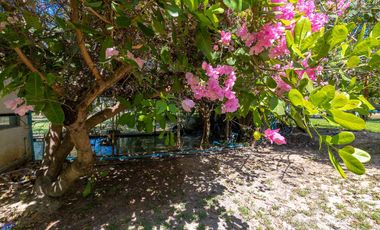 7 bed Lakeside Pool Villa 11 rai Nong Khon Ubon