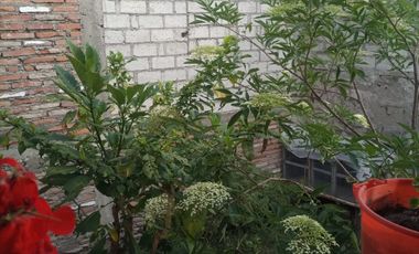 Vendo casa comercial en Pujili - Cotopaxi