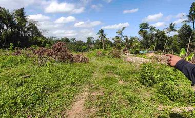Lahan payogan ubud 3 are zona Kuning SHM ready lingkungan villa nyaman strategis