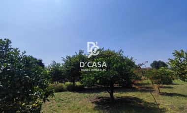 HERMOSA CASA DE CAMPO EN VENTA, AMEXHE