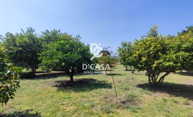 HERMOSA CASA DE CAMPO EN VENTA, AMEXHE