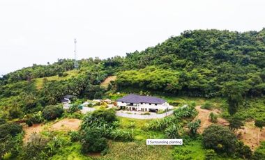 Luxury 15 Bedrooms Grand Farmhouse with Pool in Countryside Danao City