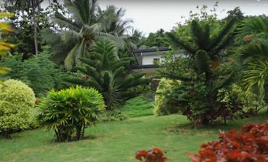 Luxury 15 Bedrooms Grand Farmhouse with Pool in Countryside Danao City