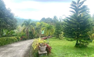 Luxury 15 Bedrooms Grand Farmhouse with Pool in Countryside Danao City