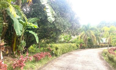 Luxury 15 Bedrooms Grand Farmhouse with Pool in Countryside Danao City