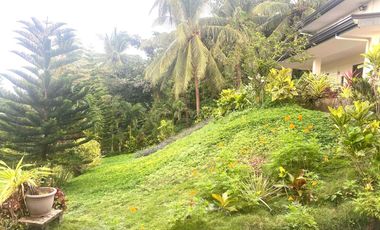 Luxury 15 Bedrooms Grand Farmhouse with Pool in Countryside Danao City