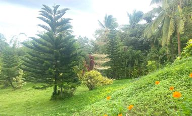 Luxury 15 Bedrooms Grand Farmhouse with Pool in Countryside Danao City