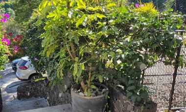 RENTA,  CASA, en condominio