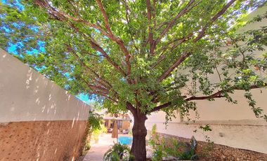 Casa Colonial en venta en el centro de Mérida, Yucatán
