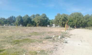 RENTA DE TERRENO EN SAN JOSE ITURBIDE, SOBRE AVENIDA
