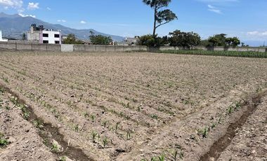 Hermos lote de terreno.