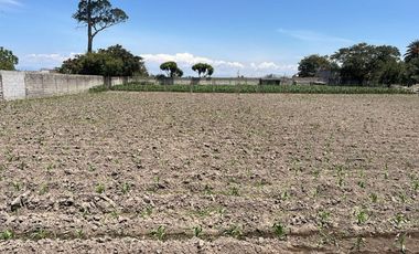 Hermos lote de terreno.