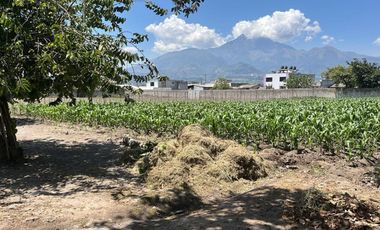 Hermos lote de terreno.