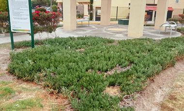 CASA EN REMATE REAL GRANADA TECAMAC