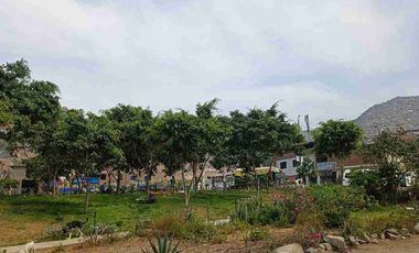 OCASIÓN ÚNICA: Terreno de 131 m2 Frente a Parque – ¡El mejor precio de SJL!