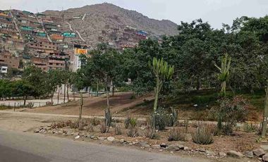 OCASIÓN ÚNICA: Terreno de 131 m2 Frente a Parque – ¡El mejor precio de SJL!