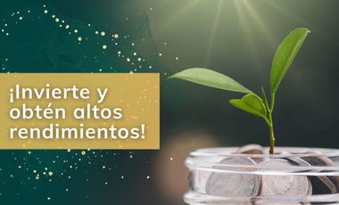 Oficina en venta, Benito Juárez, CDMX, Del Valle Centro