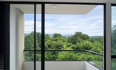 ARRIENDO APARTAMENTO CAÑAVERAL