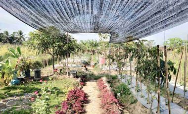 DIJUAL KAFE VILLA STRATEGIS DEKAT JL. TEGALREJO CANDIMULYO MAGELANG