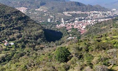 VENTA PARCELA DE UNA HECTÁREA