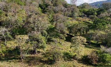 VENTA PARCELA DE UNA HECTÁREA