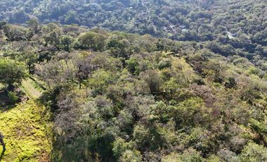 VENTA PARCELA DE UNA HECTÁREA