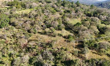 VENTA PARCELA DE UNA HECTÁREA