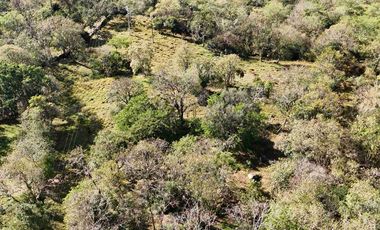 VENTA PARCELA DE UNA HECTÁREA