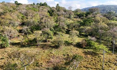 VENTA PARCELA DE UNA HECTÁREA