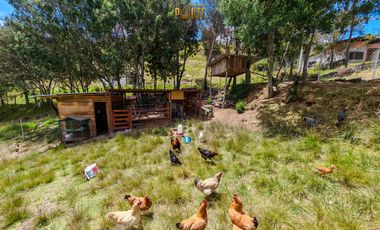 Propiedad en venta en Guachapala con amplio terreno y casa de campo