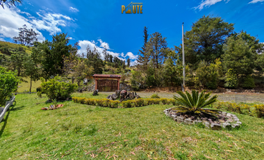 Propiedad en venta en Guachapala con amplio terreno y casa de campo