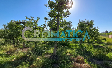 Parcela en Venta – La Lechería, Requínoa