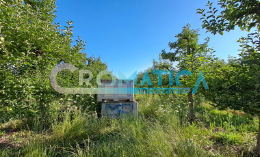 Parcela en Venta – La Lechería, Requínoa