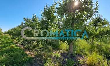 Parcela en Venta – La Lechería, Requínoa