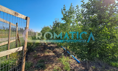 Parcela en Venta – La Lechería, Requínoa