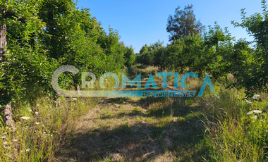 Parcela en Venta – La Lechería, Requínoa