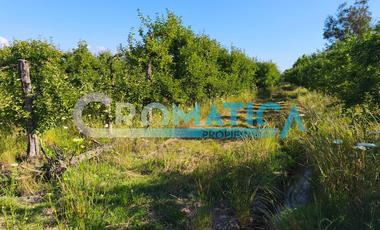 Parcela en Venta – La Lechería, Requínoa