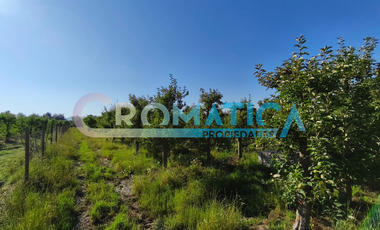 Parcela en Venta – La Lechería, Requínoa